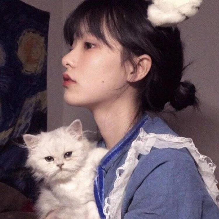 会津（高荷惠的故乡） - 动画电影国语在线观看 - 手机看剧
